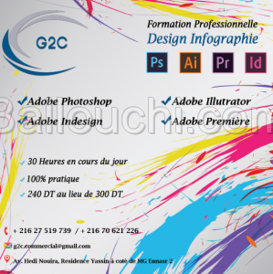 Formation design Infographie