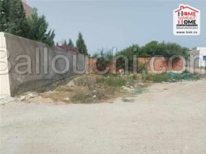 Terrain Villa Eloan à Vendre à Bhar Lazreg
