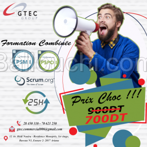 Formation Professionnel en Scrum Agile PSM et PSPO