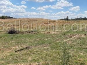 av terrain 9100m à zaghouan ezriba