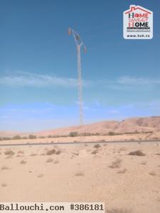 Terrain Agricole Hambal à Vendre à Bel Khir Gafsa