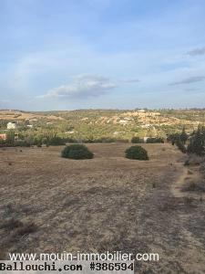 TERRAIN YANIS Birbouregba Oued Lassoued T1123
