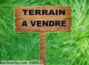 TERRAIN MOLKA VTK062