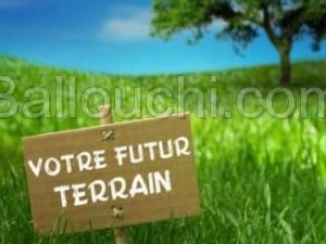 TERRAIN VISPA VTG090