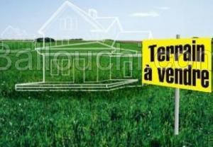 TERRAIN ZAKOUR VTE209