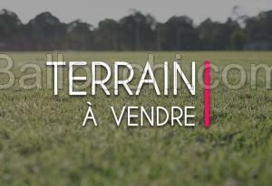 TERRAIN EXSI VTH038