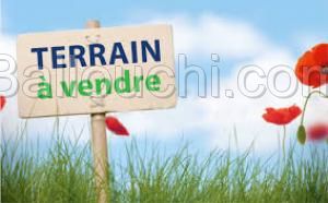 TERRAIN TORDA VTF017