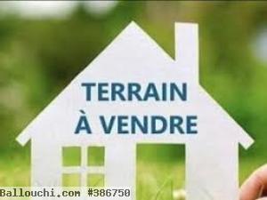 TERRAIN ZAHER VTH103