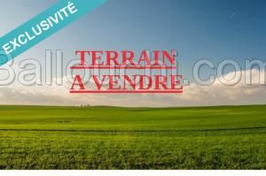 TERRAIN RAYHEN VTF202
