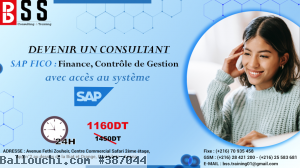 Formation SAP FICO