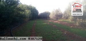 Terrain Promoteur Moncerratto à Vendre à Borj Touil