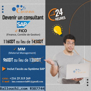 Formation pratique en SAP Tunisie