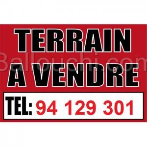 TERRAIN LEDA VTD905