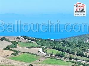 Terrain de Villa Bleuy à Vendre à Ain Berda,Bizerte