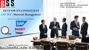 Formation SAP MM