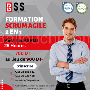 Formation Scrum Master PSM1&PSPO1