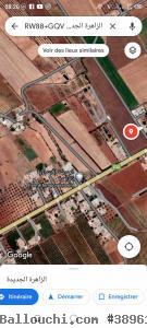 Senia a vendre a jdaida Manouba