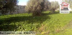 Terrain de Villa Paul à Vendre à Borj Touil