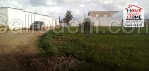 Terrain de Villa Syrba à Vendre à Borj Touil