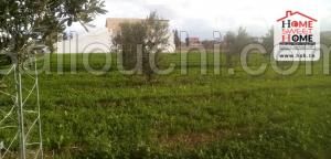 Terrain de Villa Louija à Vendre à Borj Touil