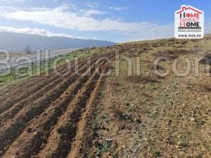 Terrain Agricole Aleena à Vendre à Bargou Siliana