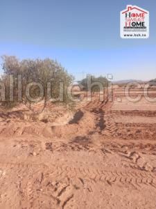 Terrain Agricole Elora à Vendre à Gafsa