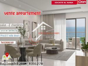 à vendre s+2 pied dans l’eau et vue sur mer