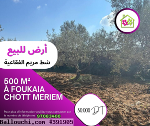 Une Bonne Offre à Foukaia Chott Meriem,