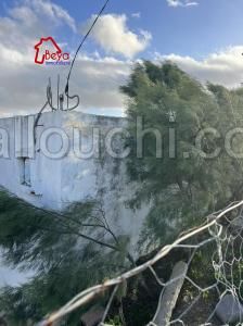 Beni khiar –halfa , un hectare avec maison sur le goudronne