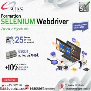 Formation Testing Selenium Automation
