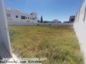 TERRAIN SYLVIA Hammamet Route Ceinture T934