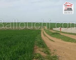 Terrain Agricole Anya à Vendre à Utique