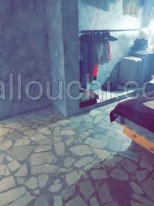 Terrain 8000m2 + Maison 2 chambre , eau gratuit , électriciter ok
