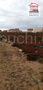 Terrain kelaplex A Vendre A Raoued