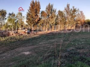 terrain GHALILA VTH081