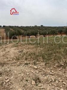 terrain BOULIDIN VTN032