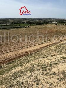 TERRAIN GALDO VTN023