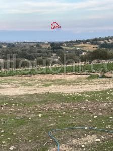 terrain LEILA VTN002