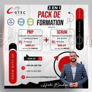 Pack Project Manager Agile Scrum Master PSM 1 & Product Owner PSPO 1 & PMP