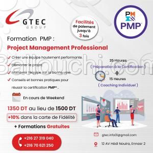 Formation PMP : Professional Project Management