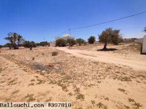 Terrain à Vendre entre Houmt Souk et Midoun