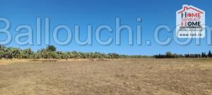 Terrain Agricole Valy à Vendre à Nabeul