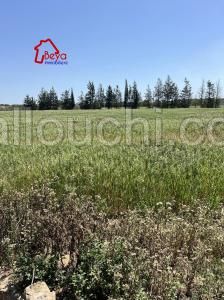 Terrain HADIL VTN045