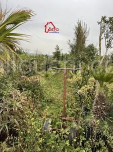 terrain AMARYA VTN035