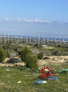 Terrain SILVER VTN019