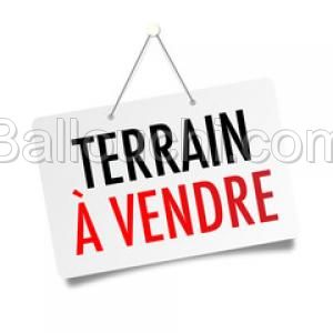 TERRAIN ADALGISA VTD754