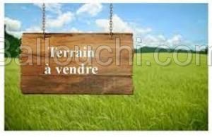 TERRAIN HOURIA VTK011