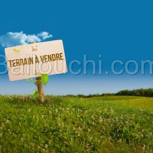 TERRAIN BIKA VTN044