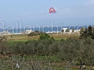 TERRAIN BOSKA VTH027