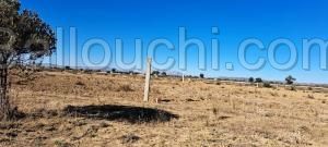 AV terrain 180 m²